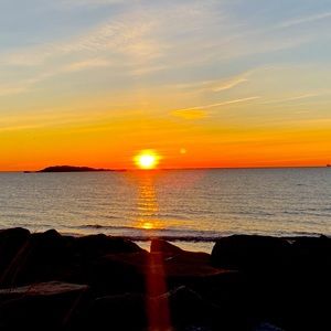 Meet your Posher, Evie